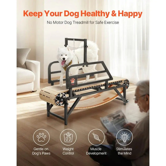 Dog Treadmill