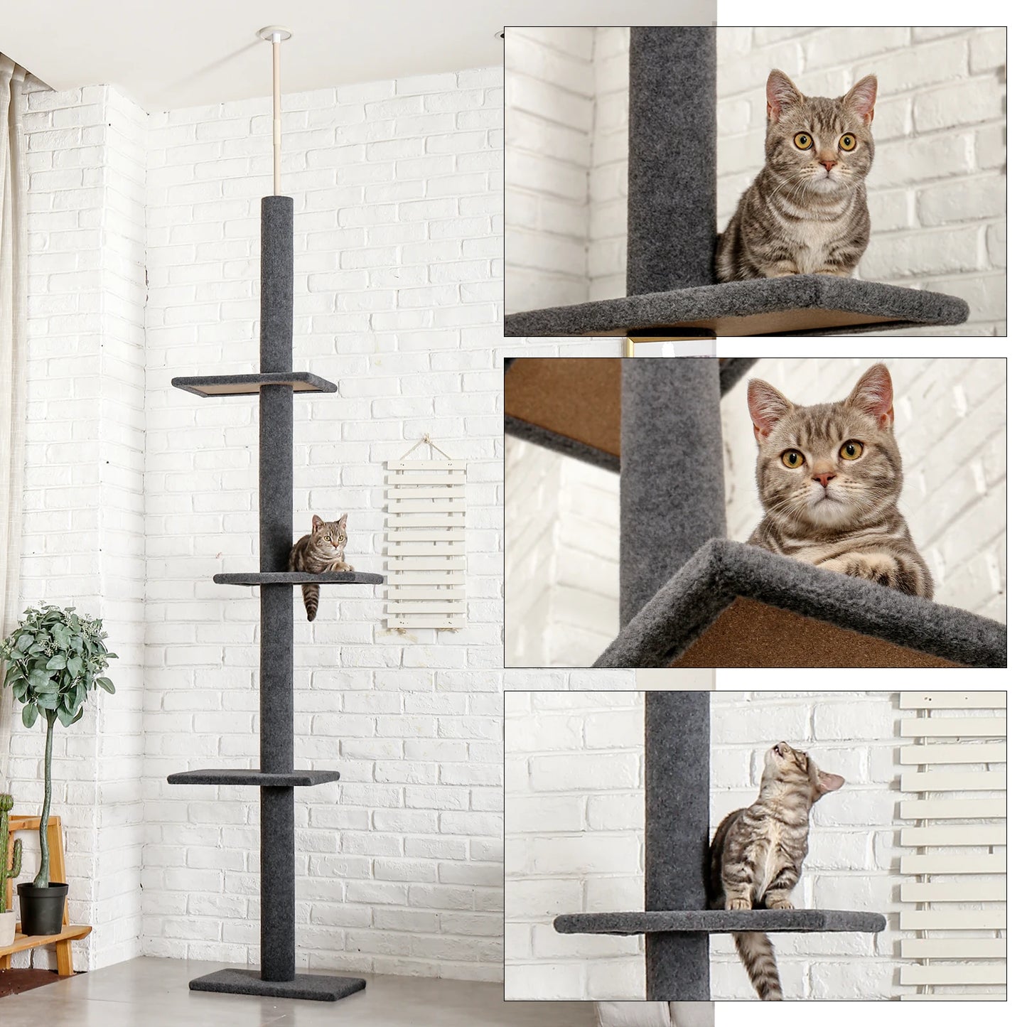 Adjustable Height Cat Tree