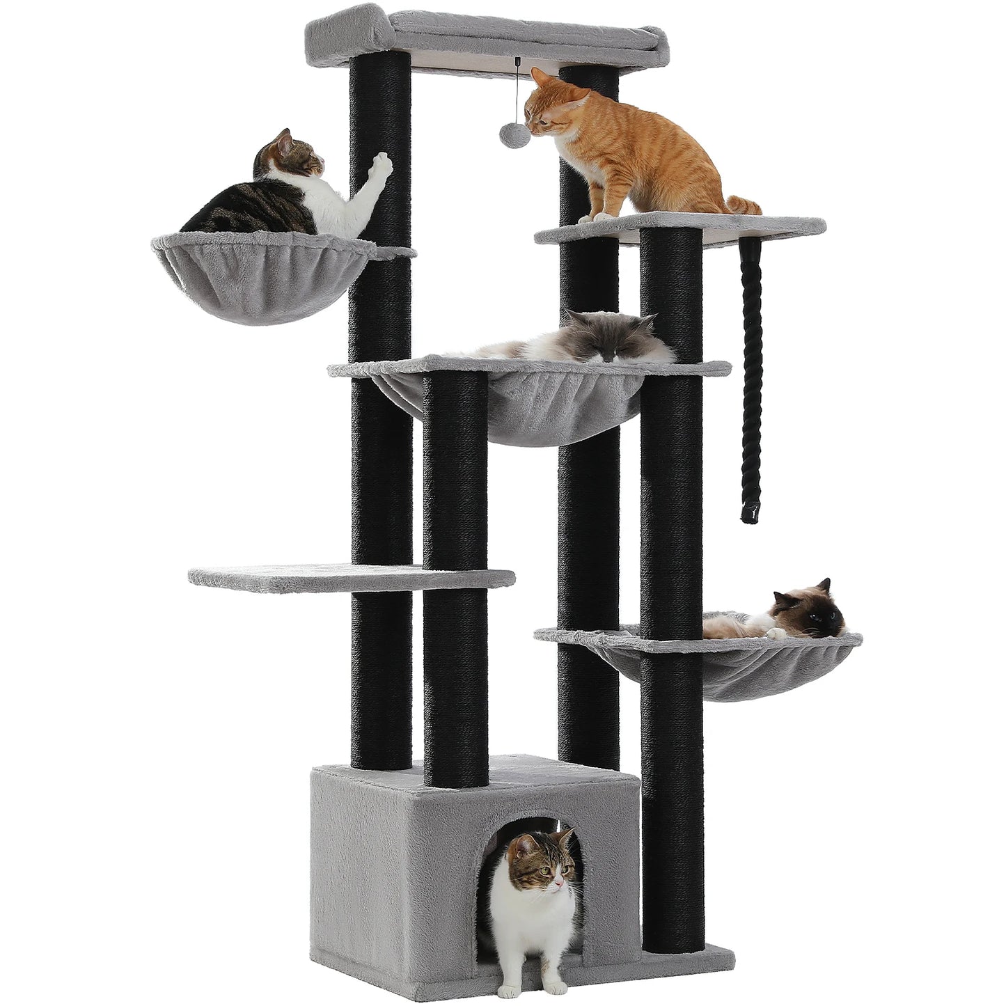 Multi-Level Cat Tree