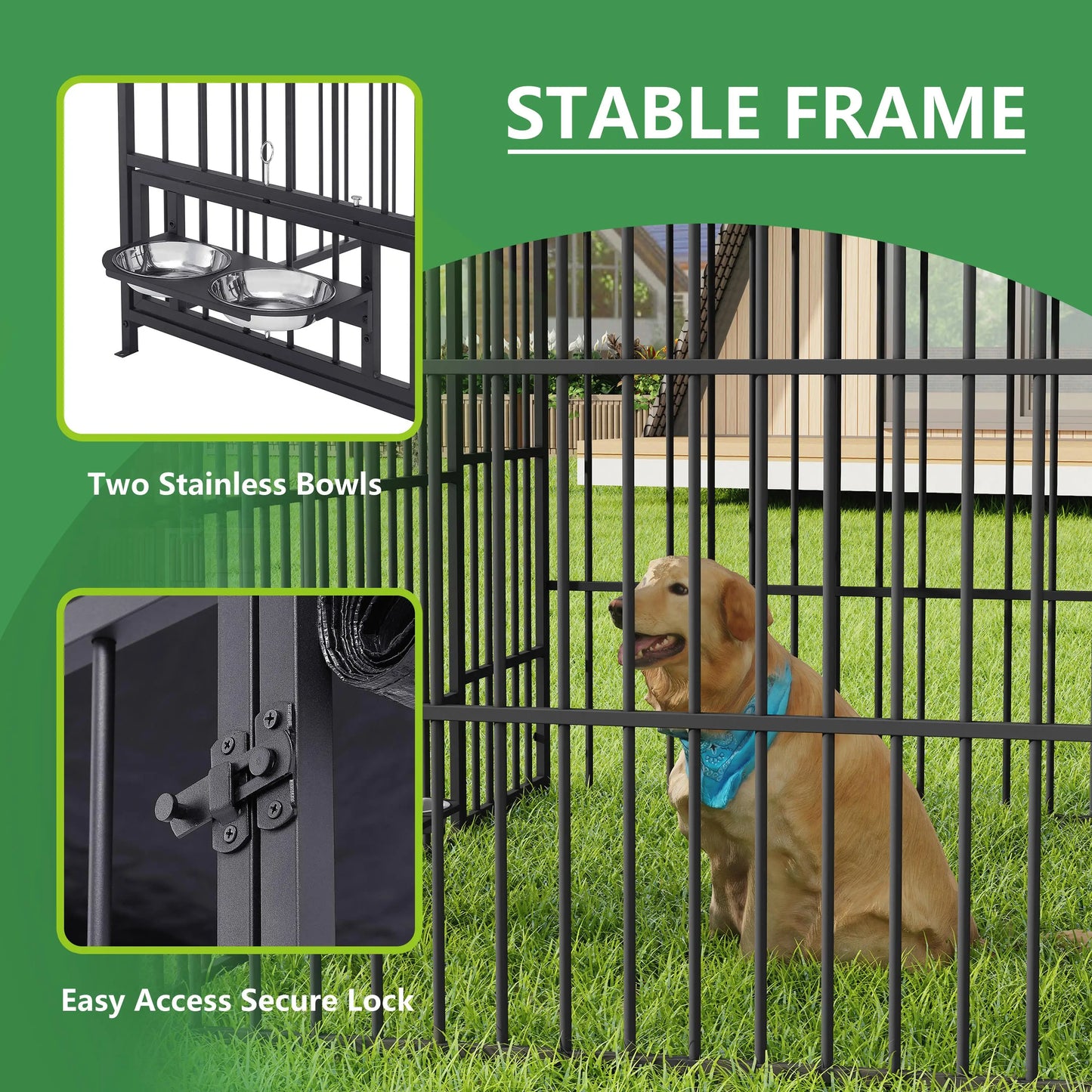 Dog Kennel Outdoor