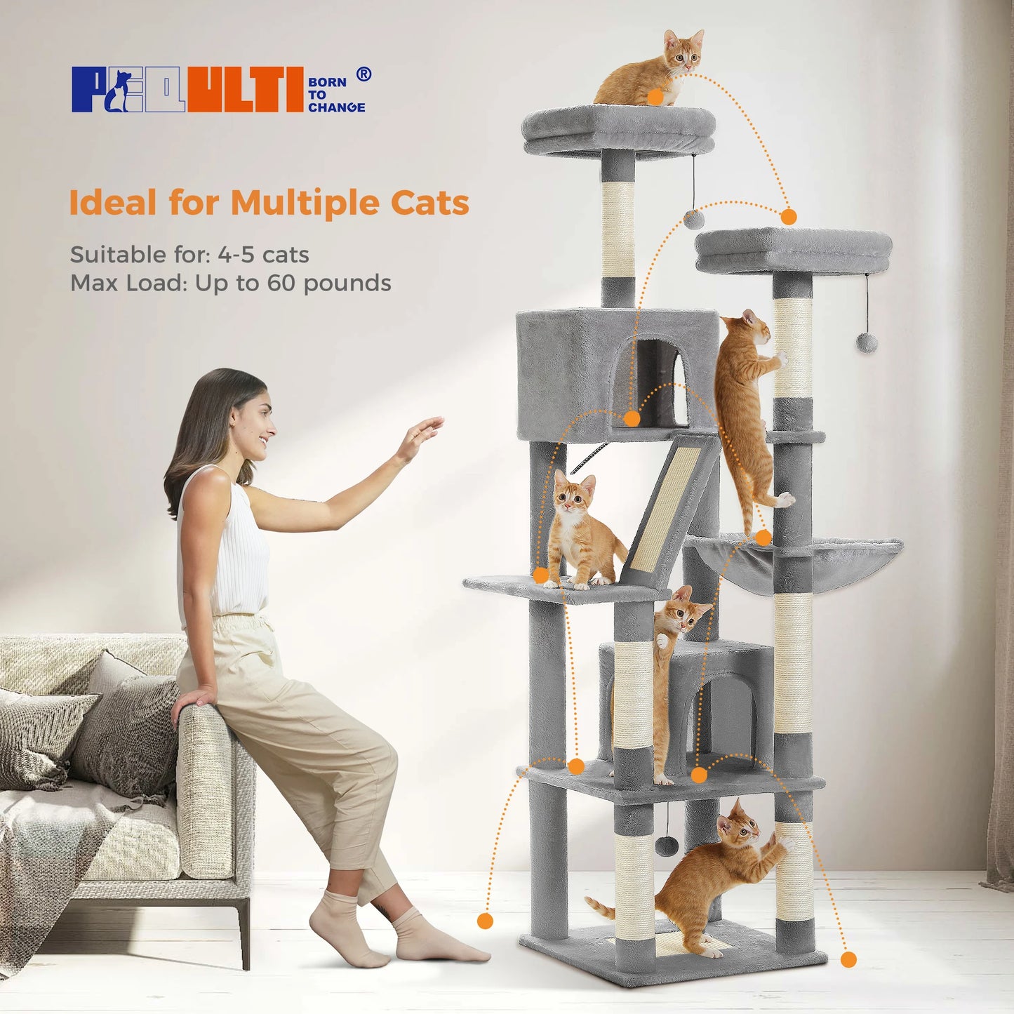 Multi-Level Cat Tree