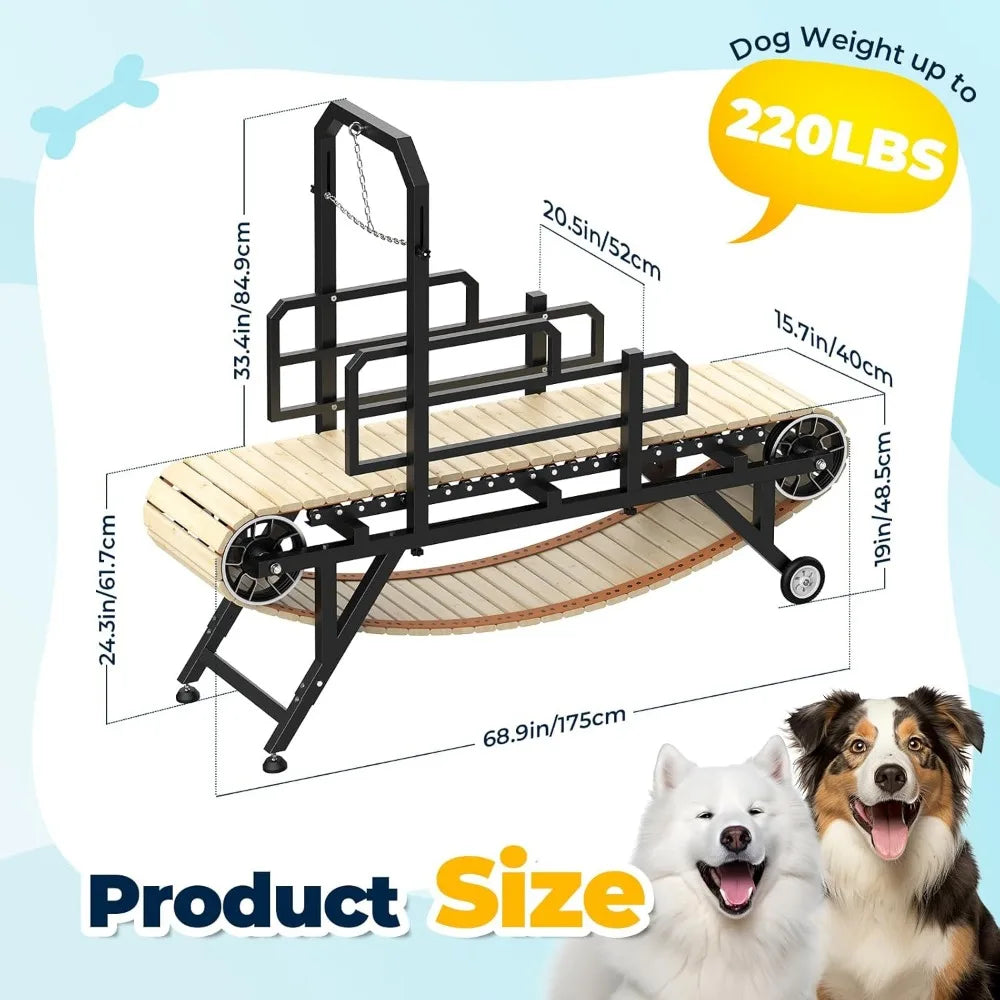 69" Dog Treadmill