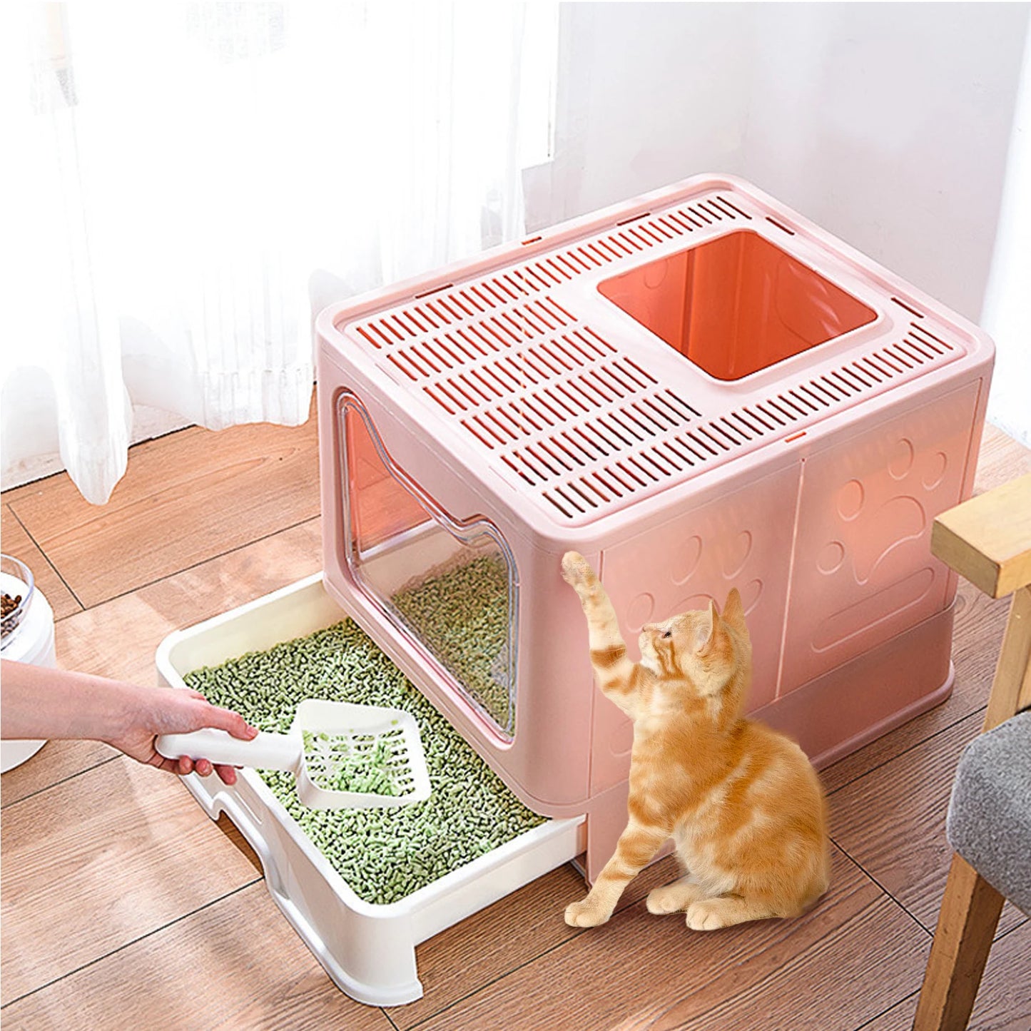 Cat Litter Box with Lid