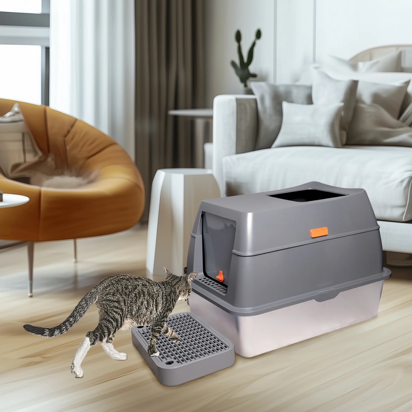 Cat Litter Box with Lid