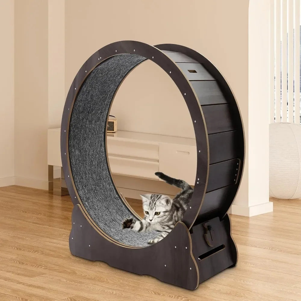 Exercise Wheel Cat Treadmill