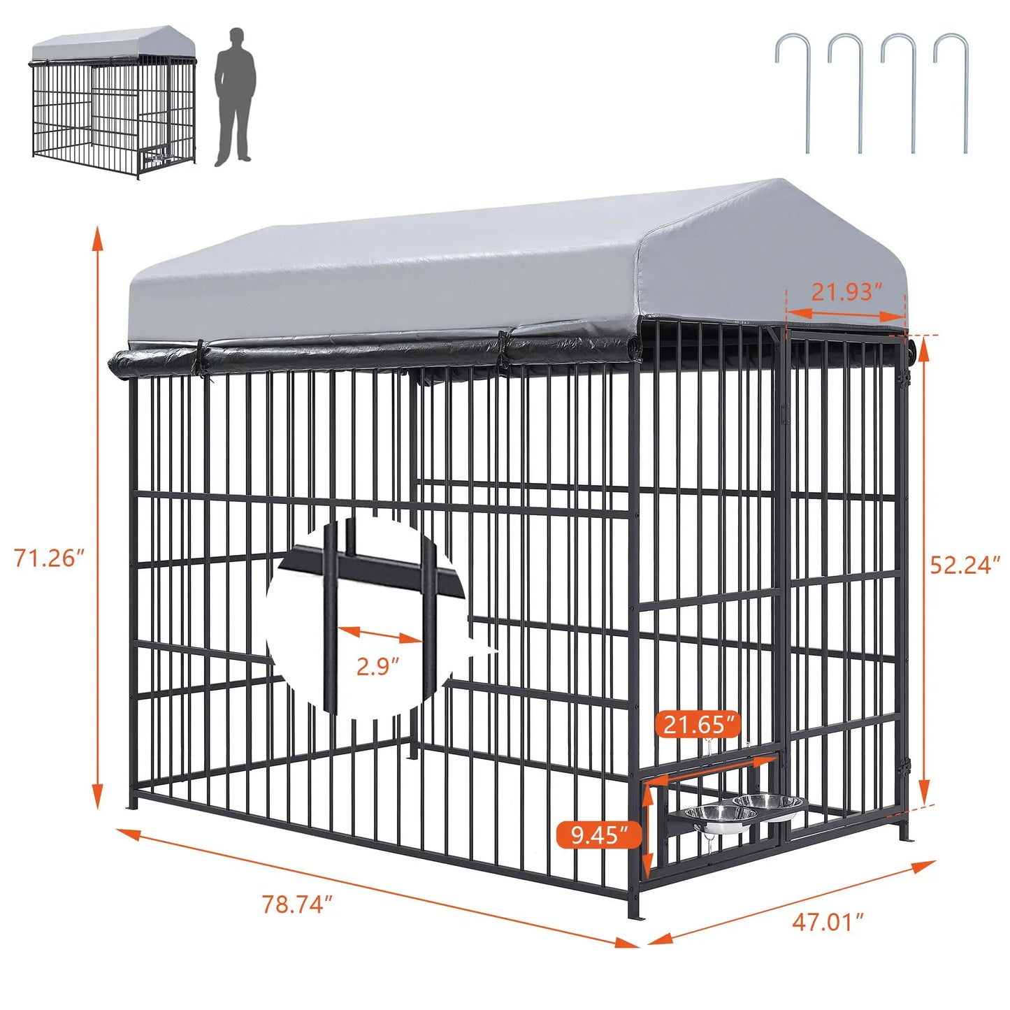 Dog Kennel Outdoor