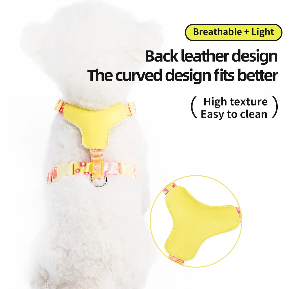 Dog Harness