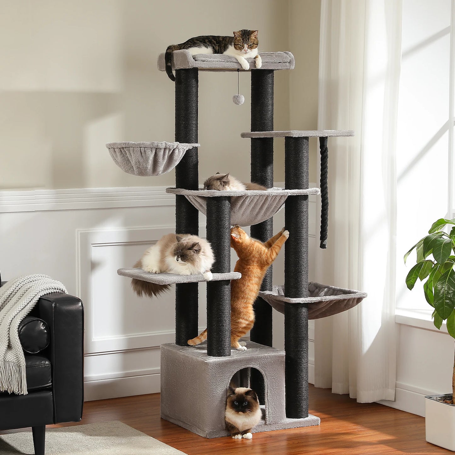 Multi-Level Cat Tree