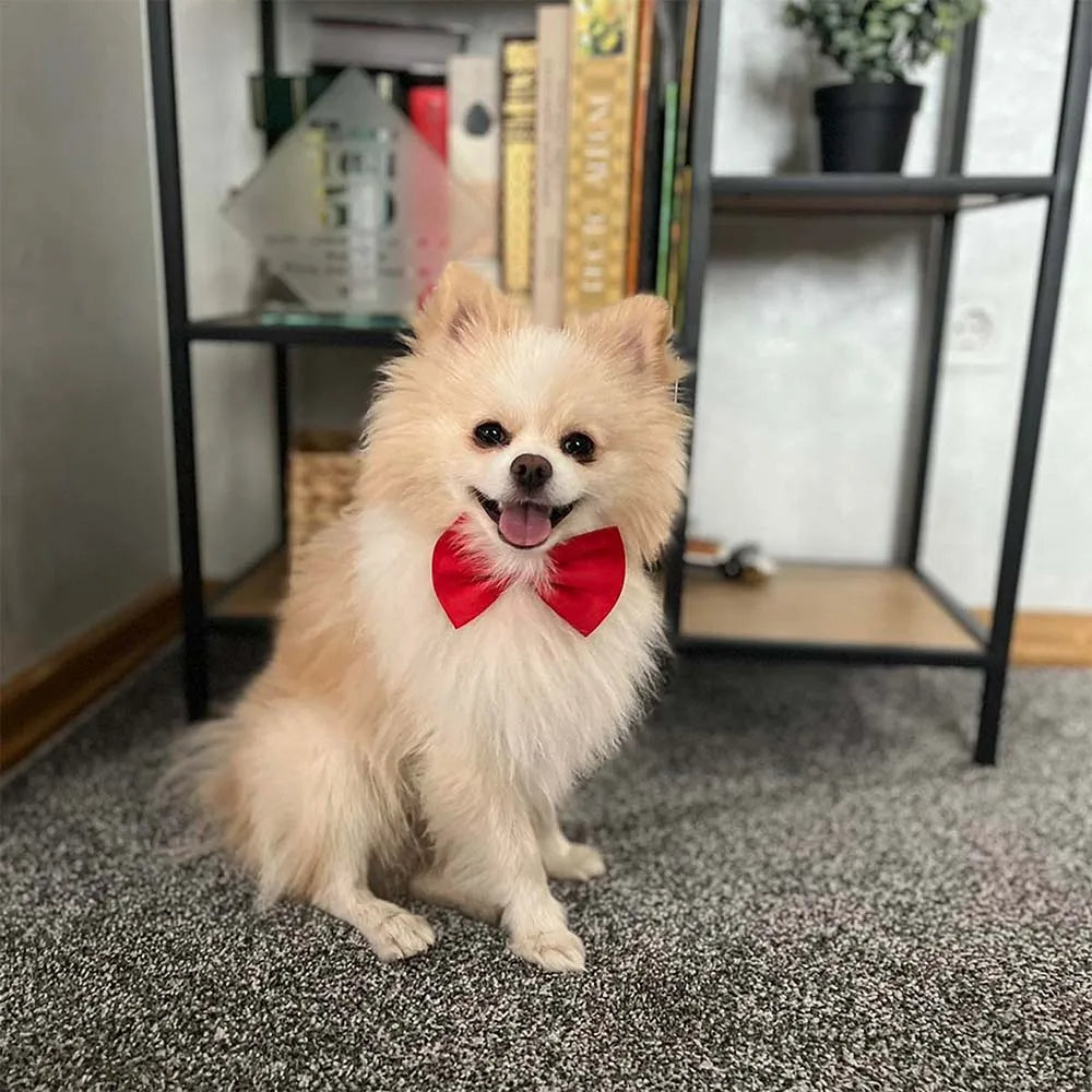 Adjustable Dog Cat Bow Tie Neck