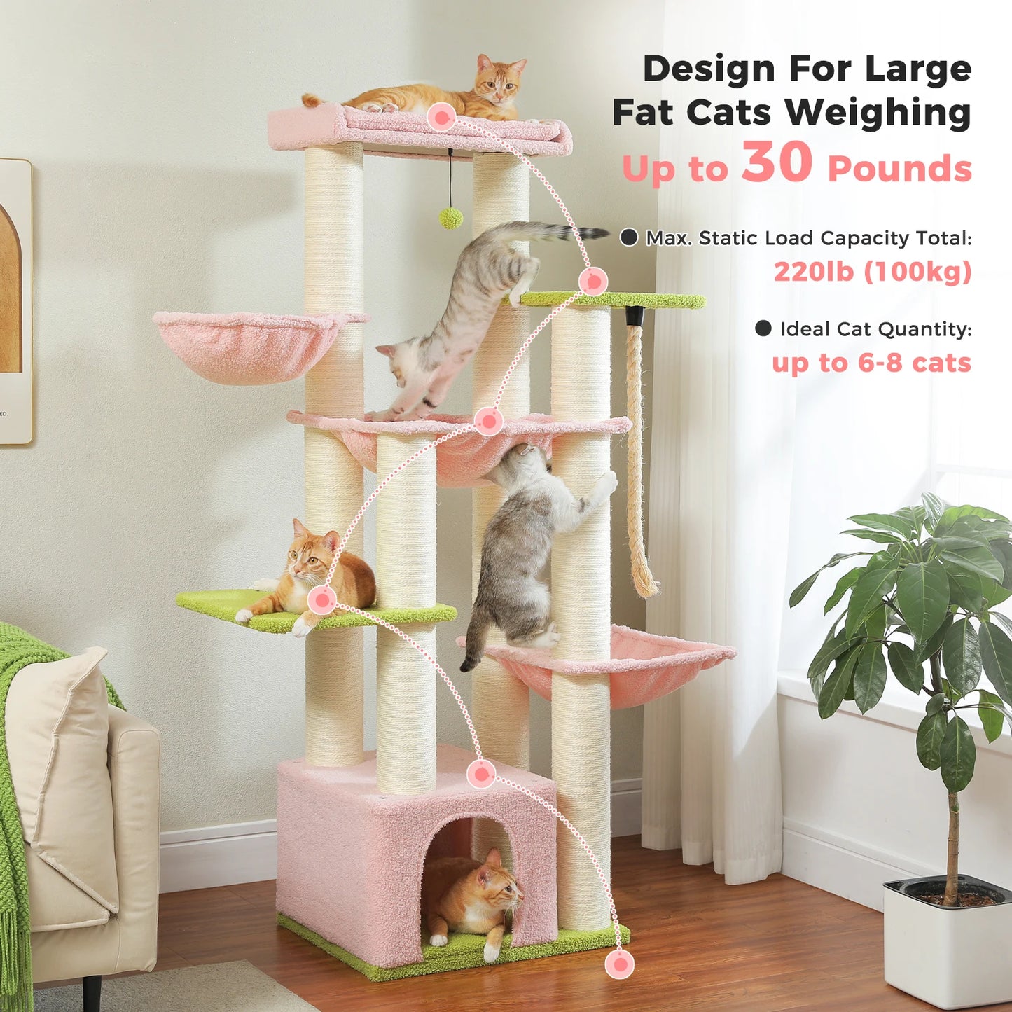 Multi-Level Cat Tree