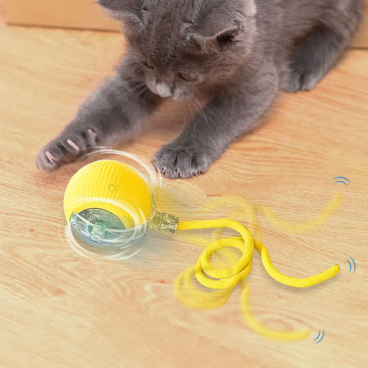 Cat Toys