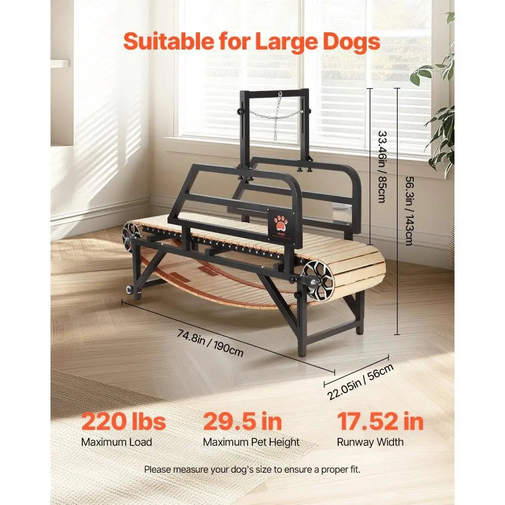 Dog Treadmill