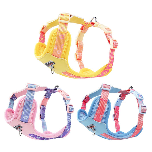Dog Harness