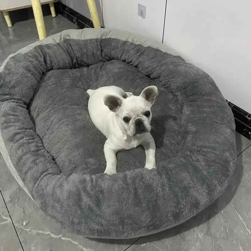 Dog Bed Pets