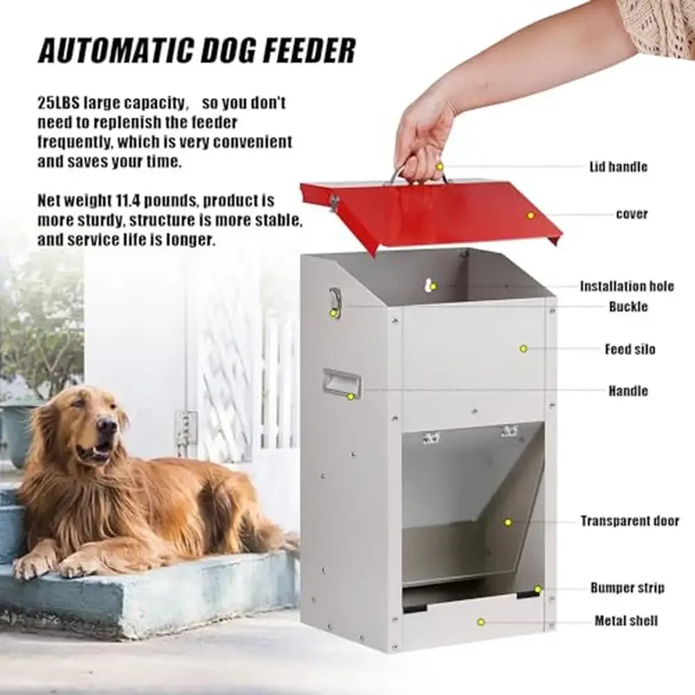 Galvanized Steel Automatic Pet Feeder
