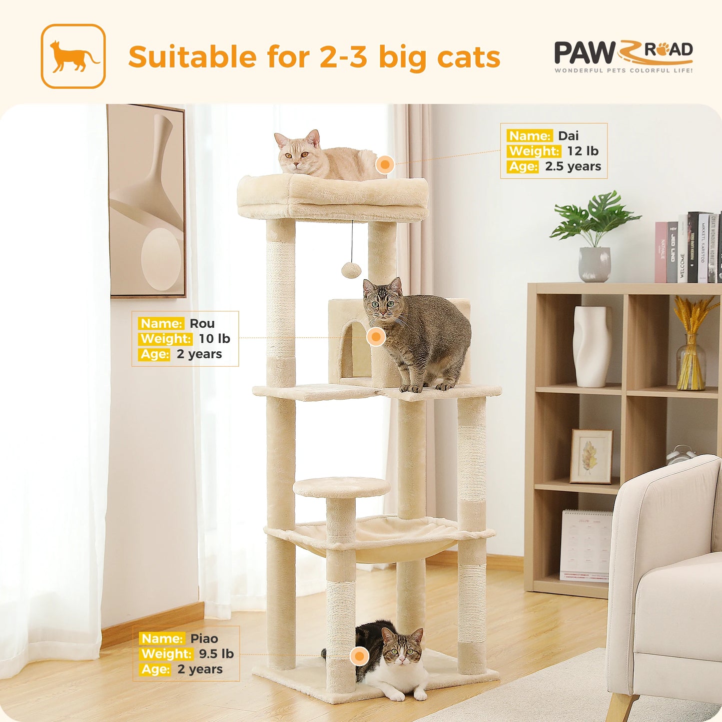 Cat Tree
