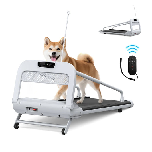 Pet Treadmill