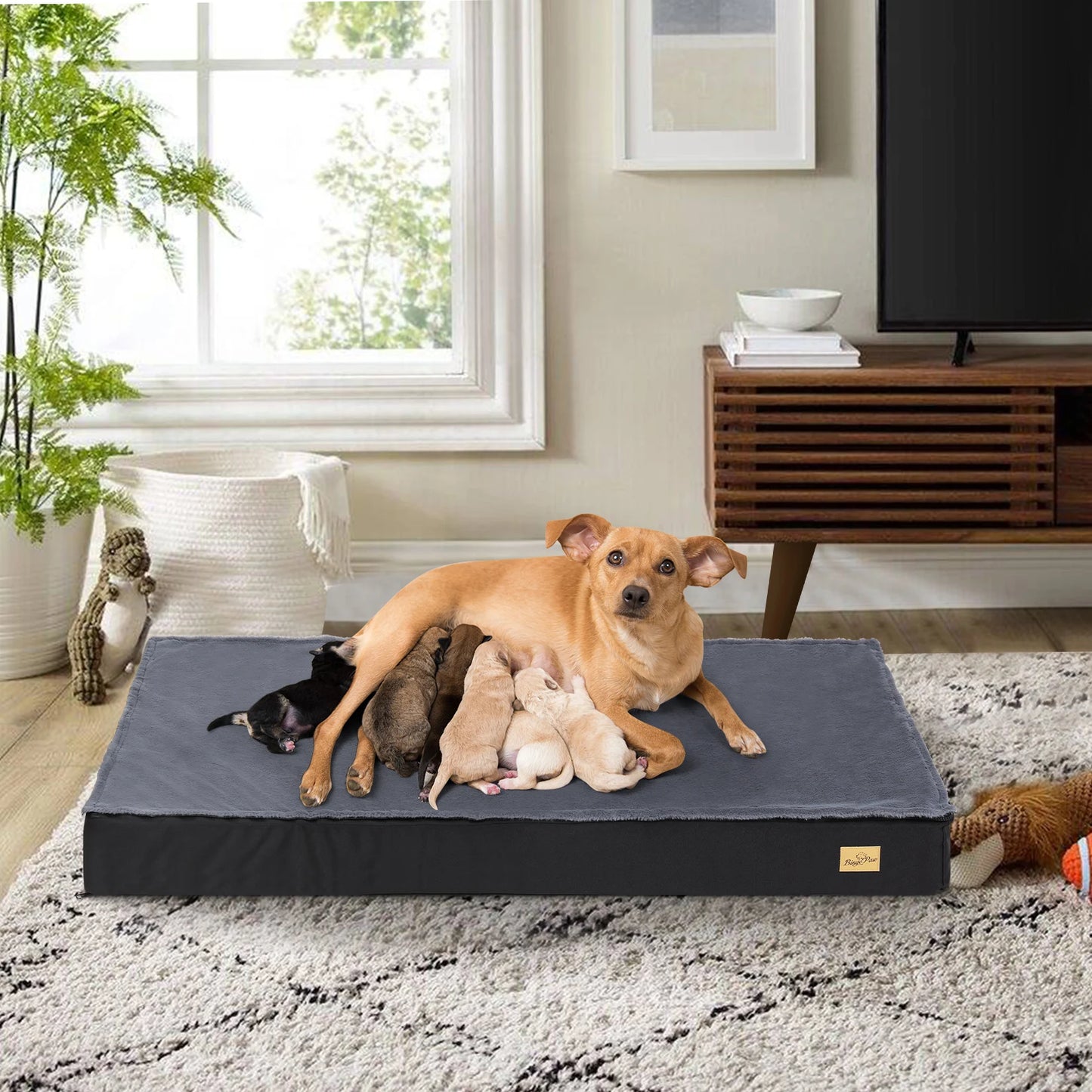 Dog Bed