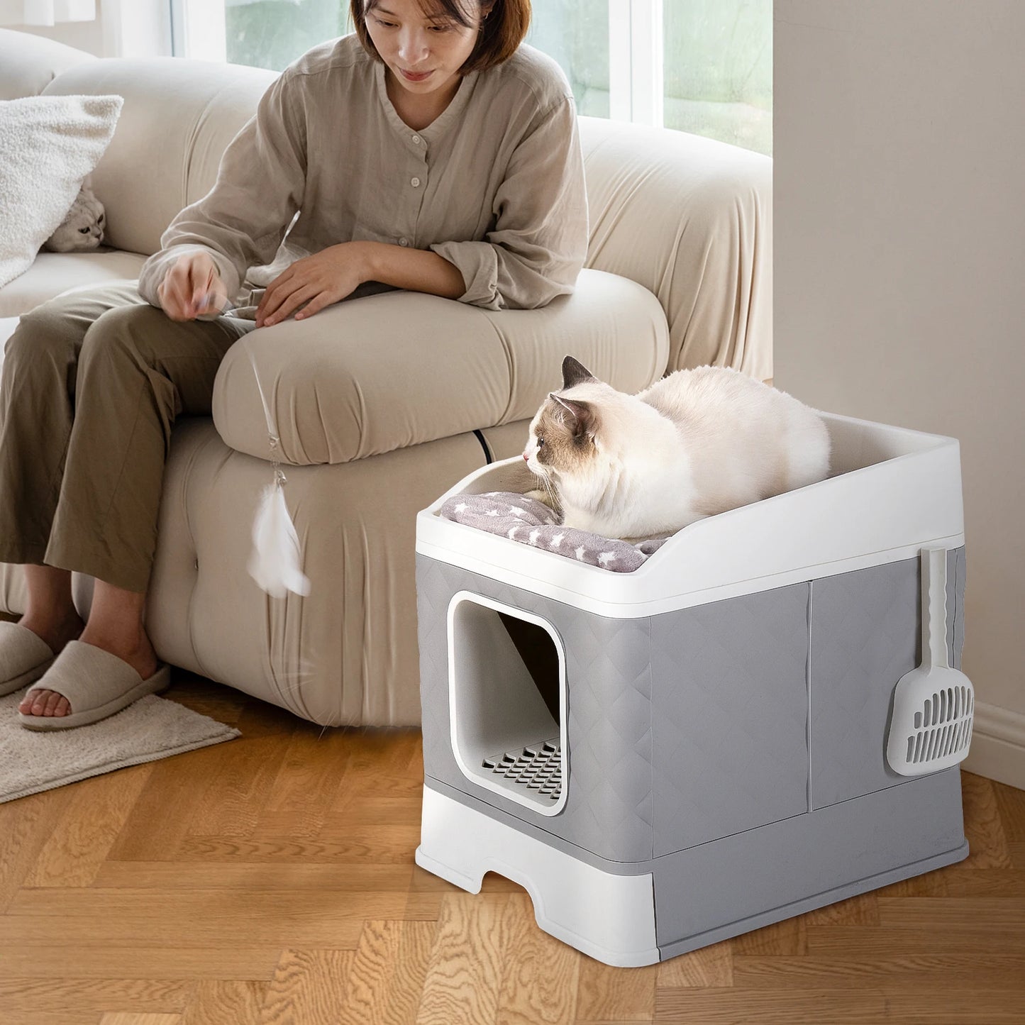 Cat Litter Box with Lid