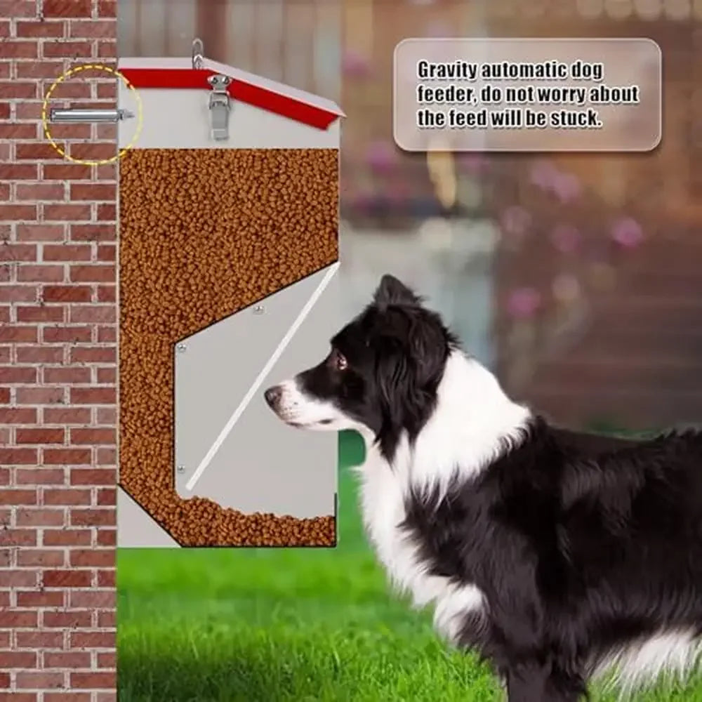 Galvanized Steel Automatic Pet Feeder