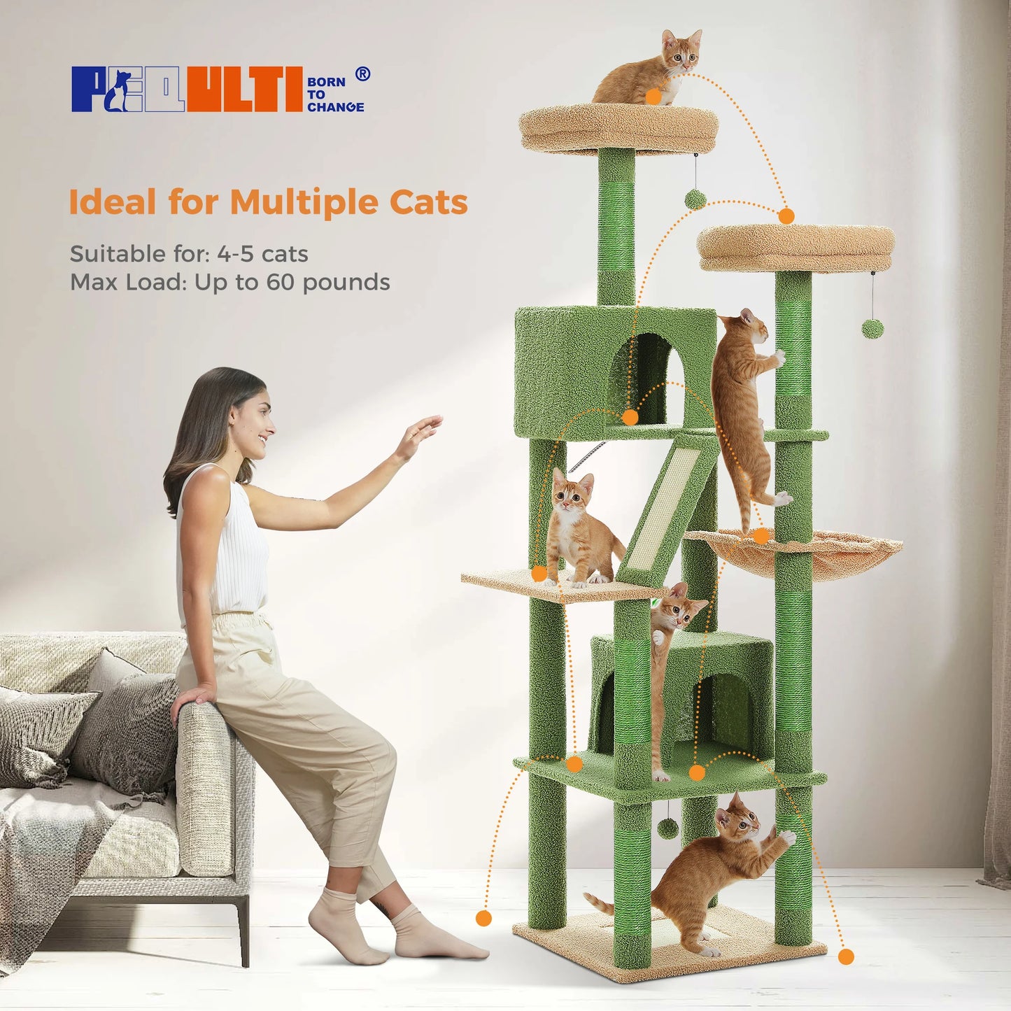 Multi-Level Cat Tree