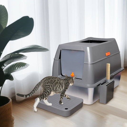 Cat Litter Box with Lid