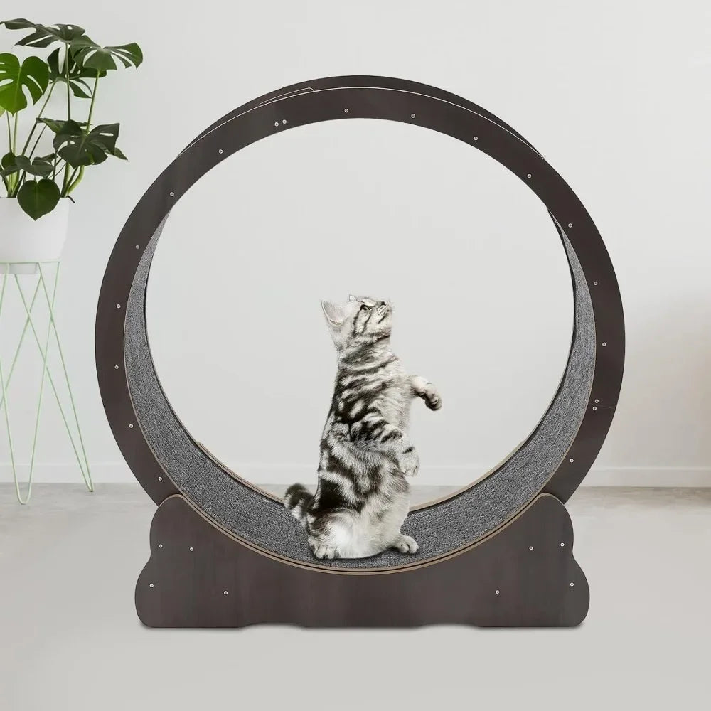 Exercise Wheel Cat Treadmill