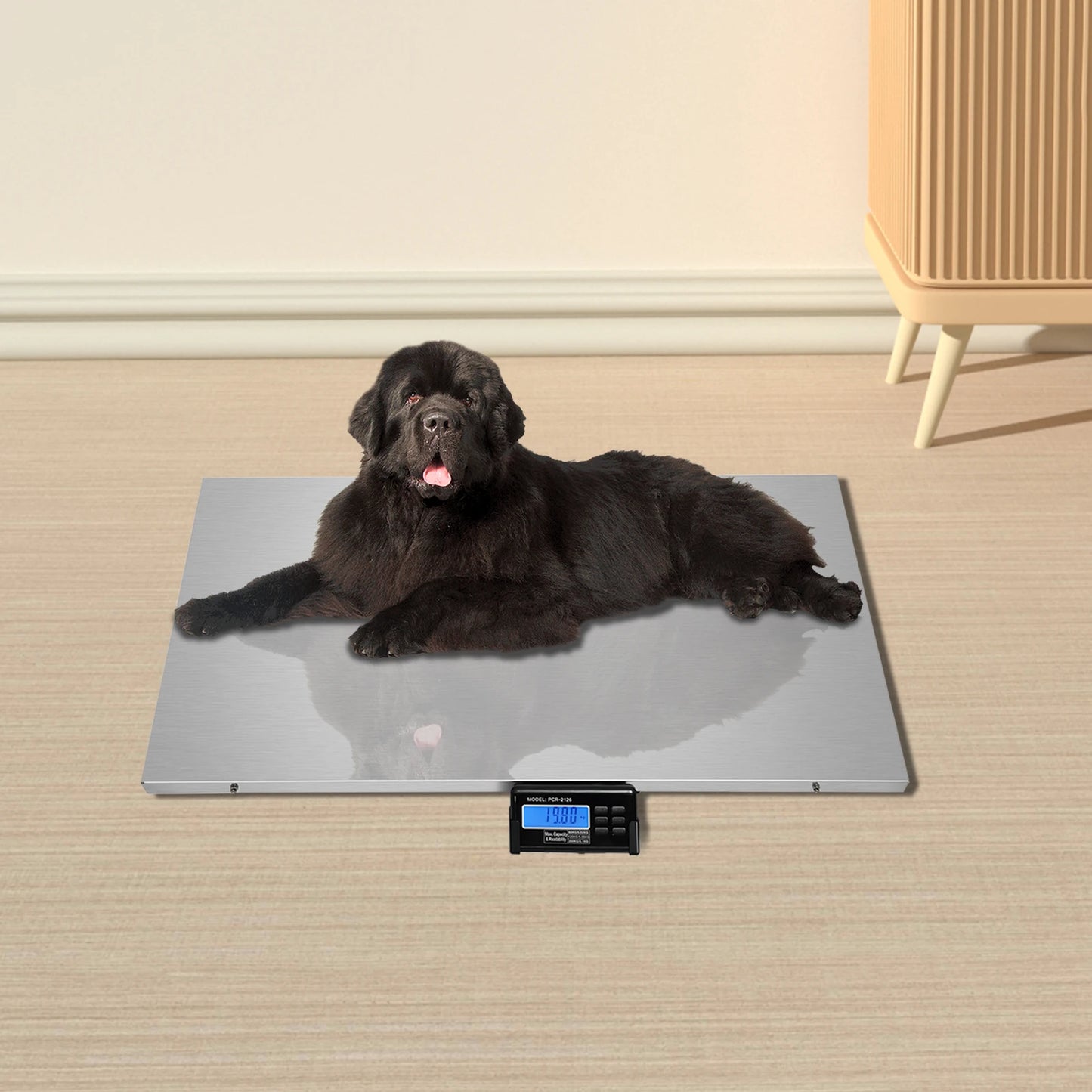 Pet weight scale LCD Display Screen