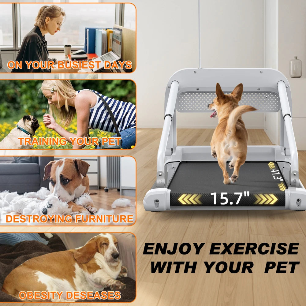 Pet Treadmill