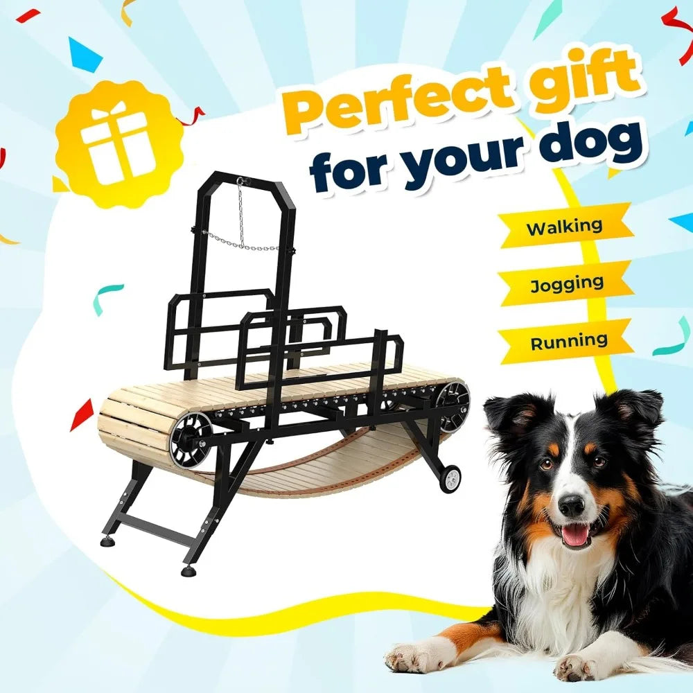 69" Dog Treadmill