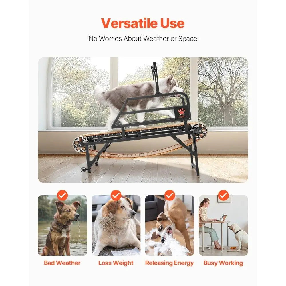 Dog Treadmill