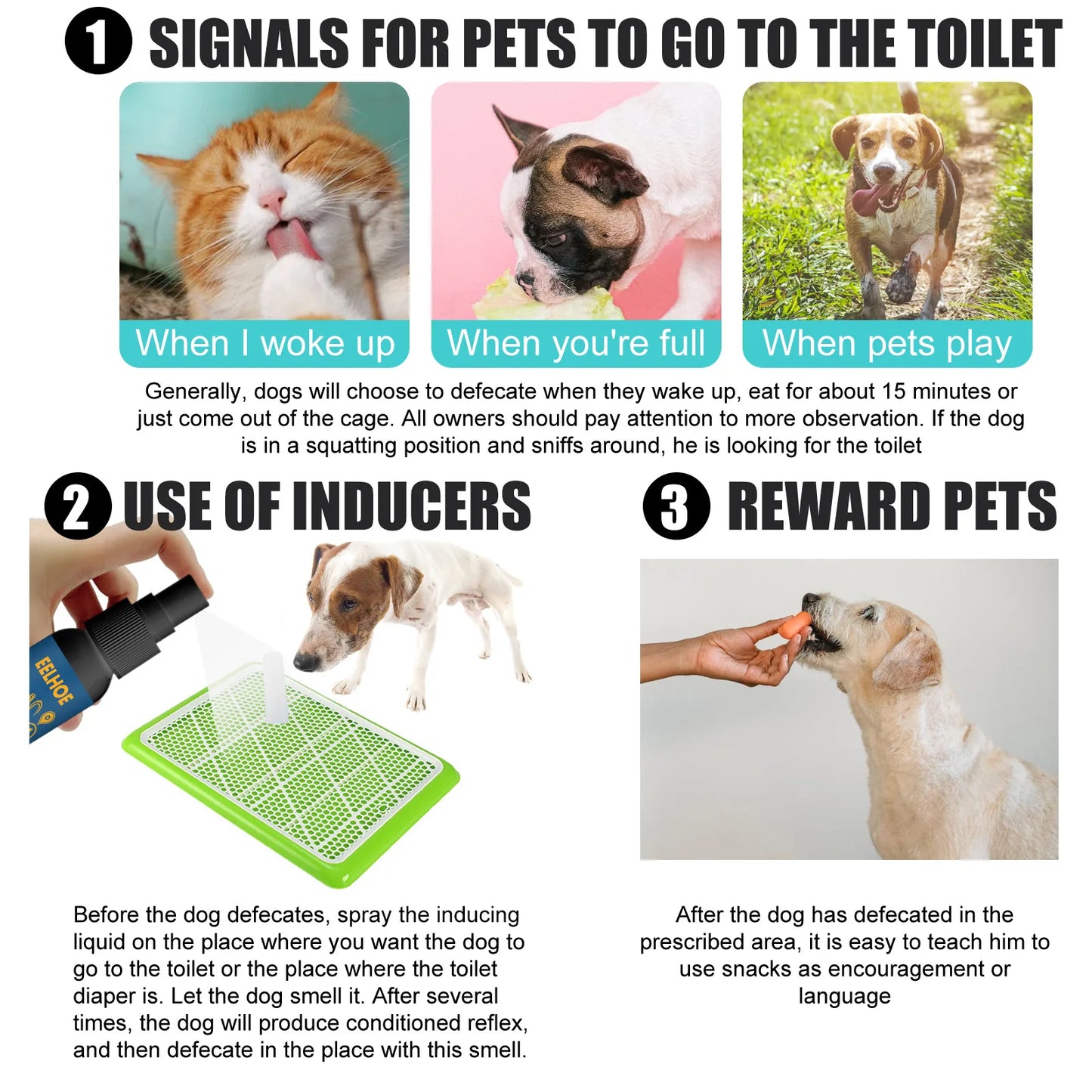Dog Cat Pet Training Defecation