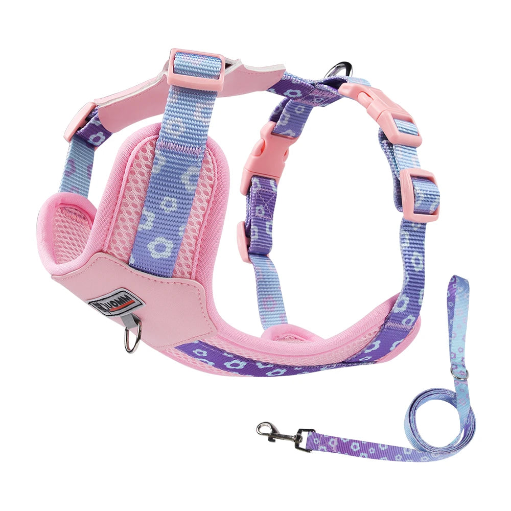Dog Harness