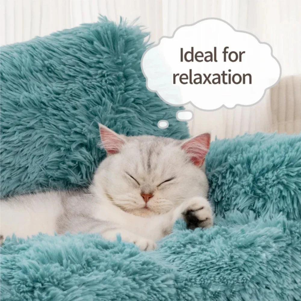 Small Dog Bed