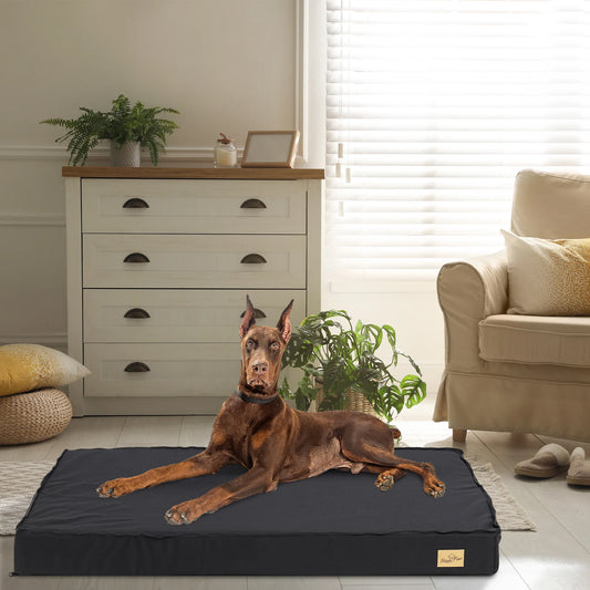 Dog Bed