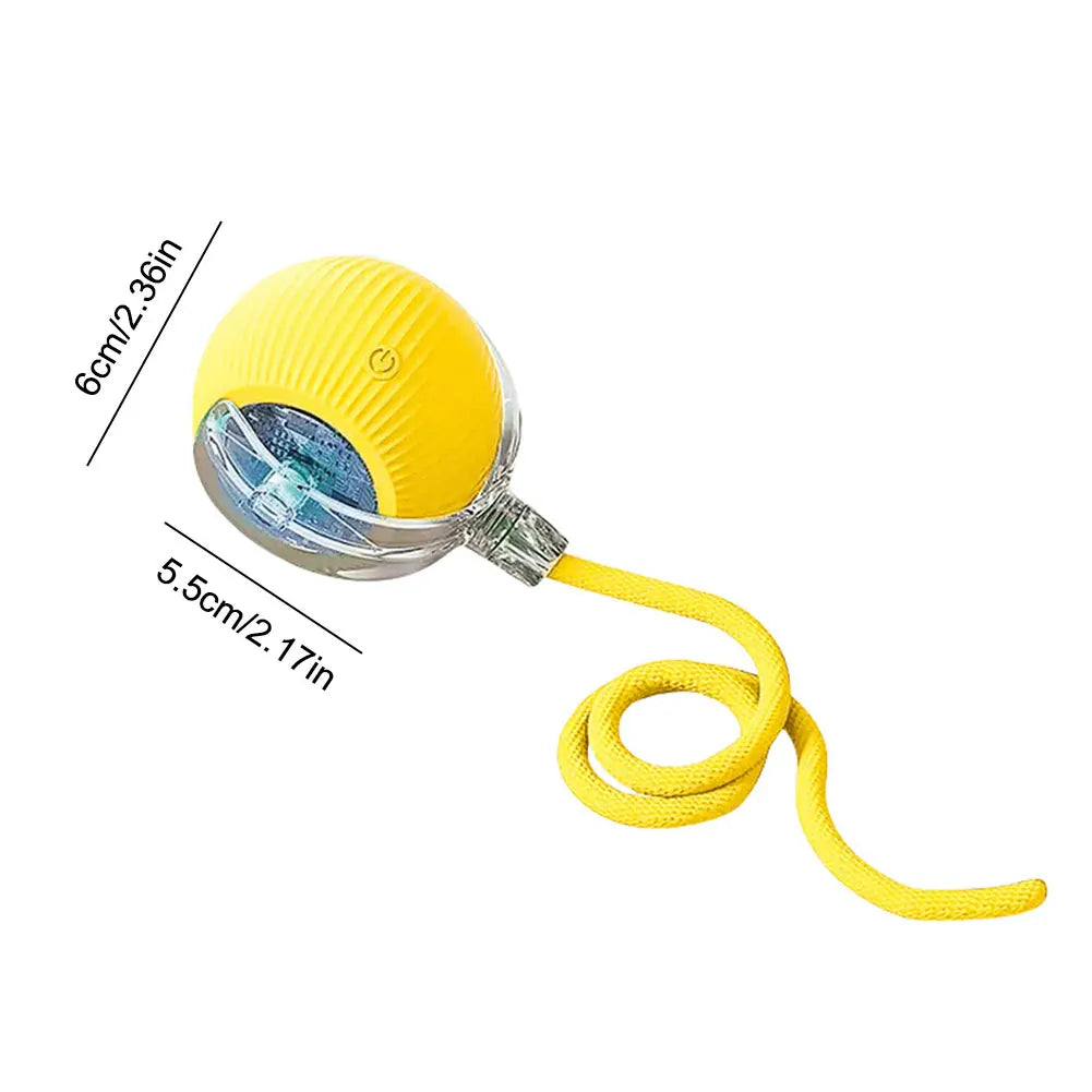 Cat Toys