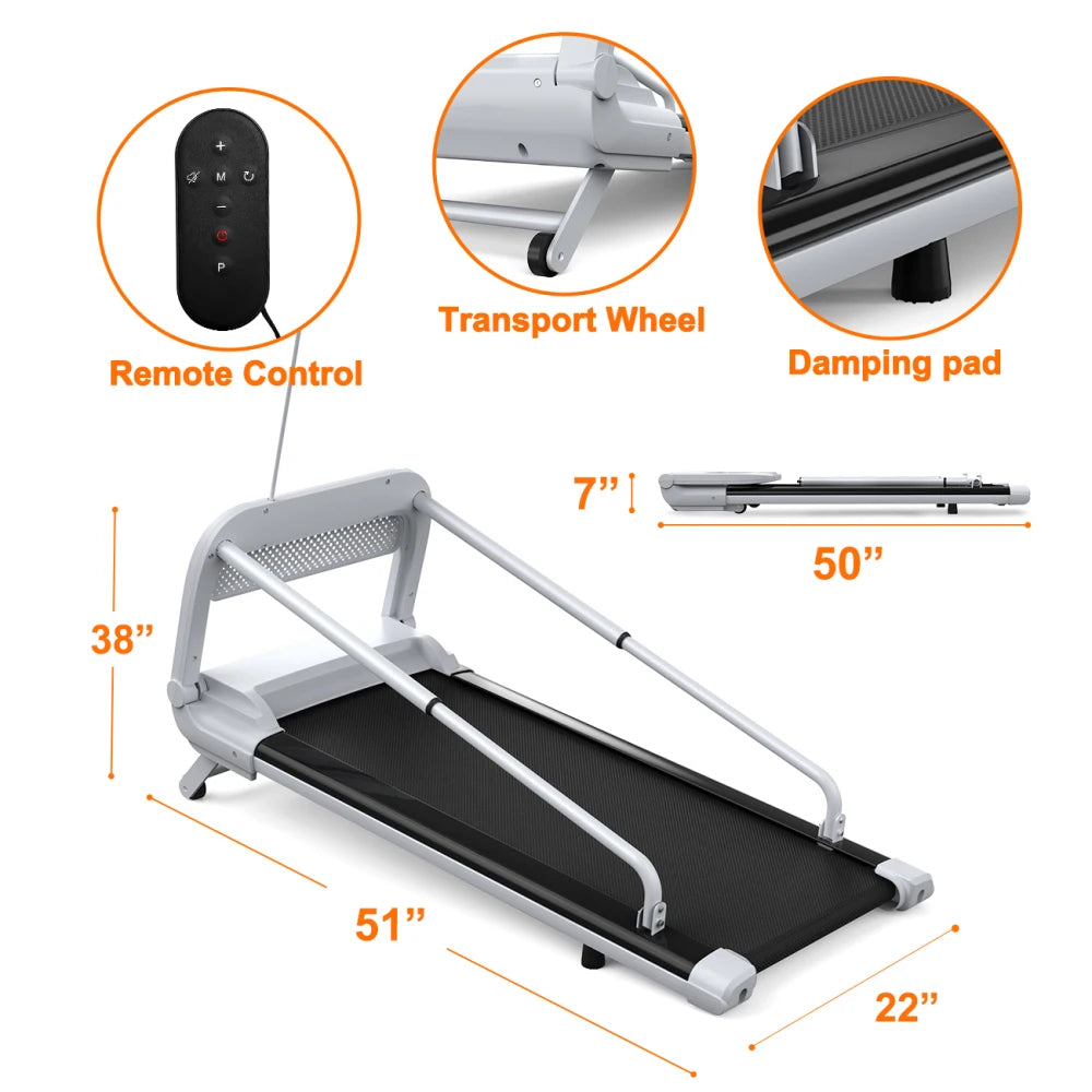 Pet Treadmill