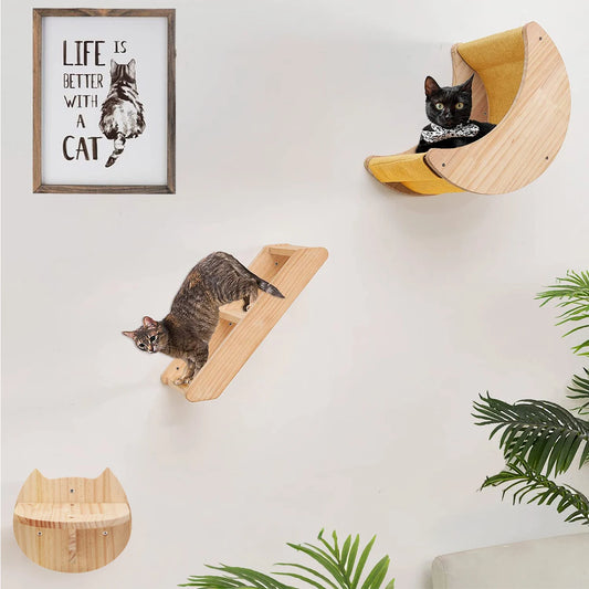 Indoor Cats Wall Furniture