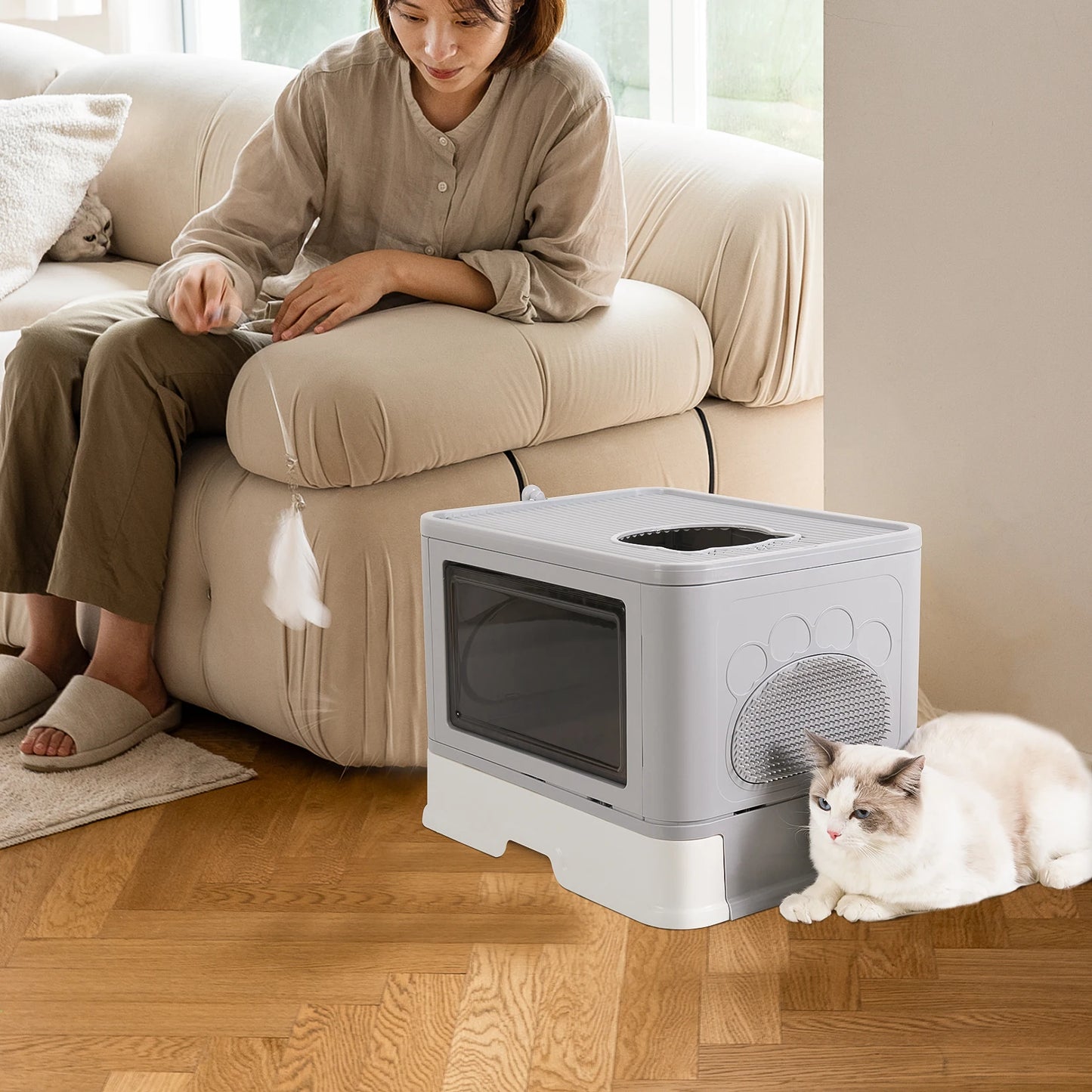 Cat Litter Box with Lid