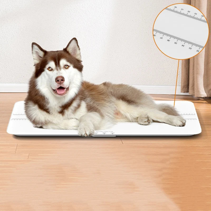 Large Pet Scale