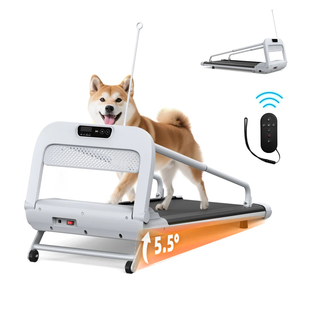 Pet Treadmill