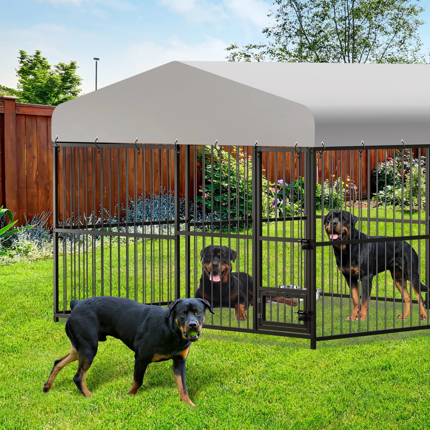 Dog Kennel