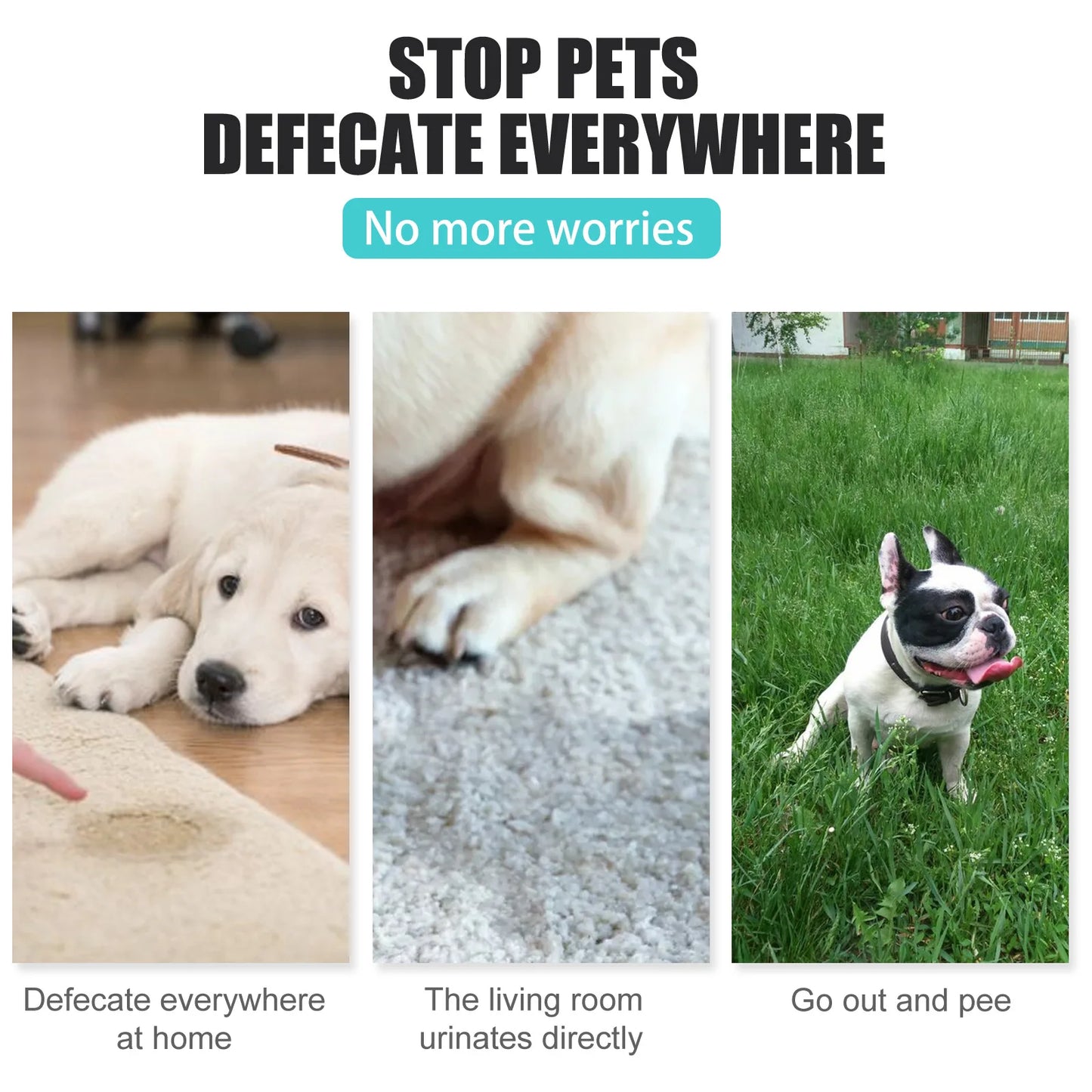 Dog Cat Pet Training Defecation