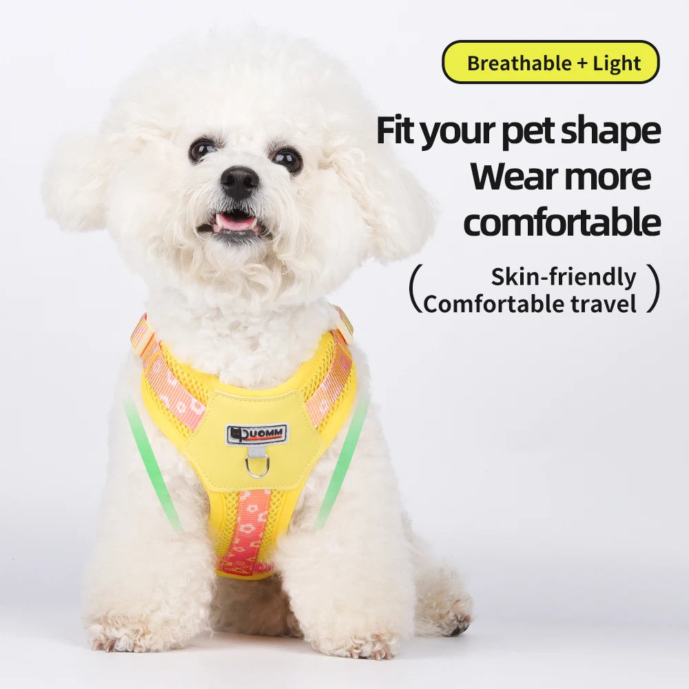 Dog Harness
