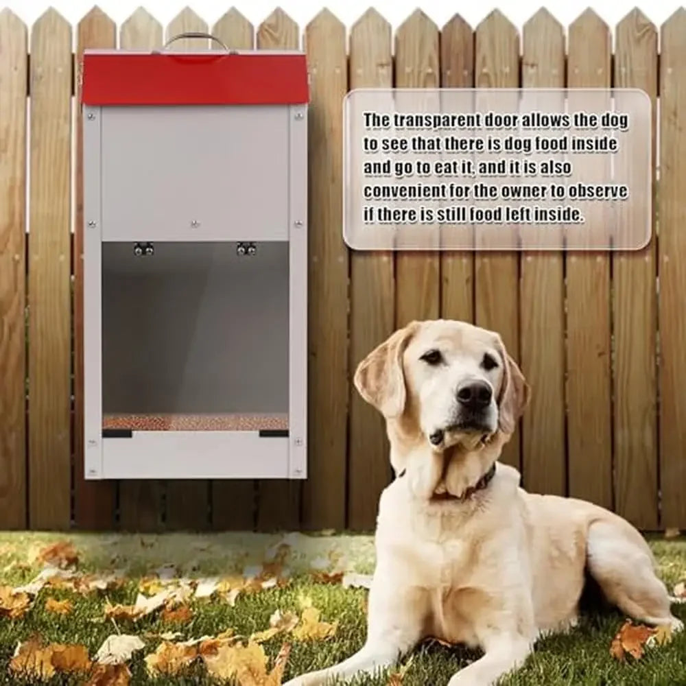 Galvanized Steel Automatic Pet Feeder
