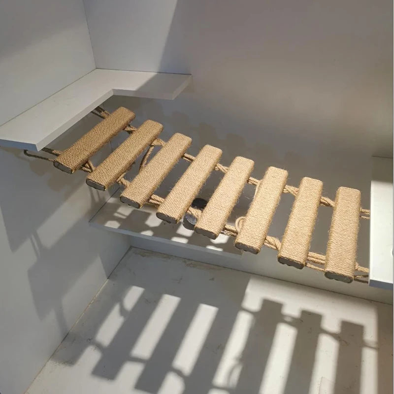 Wall-mounted Activity Cat