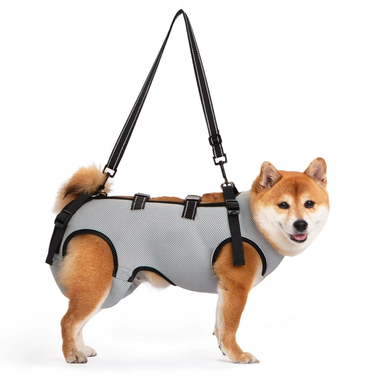 Dog Lift Harness,