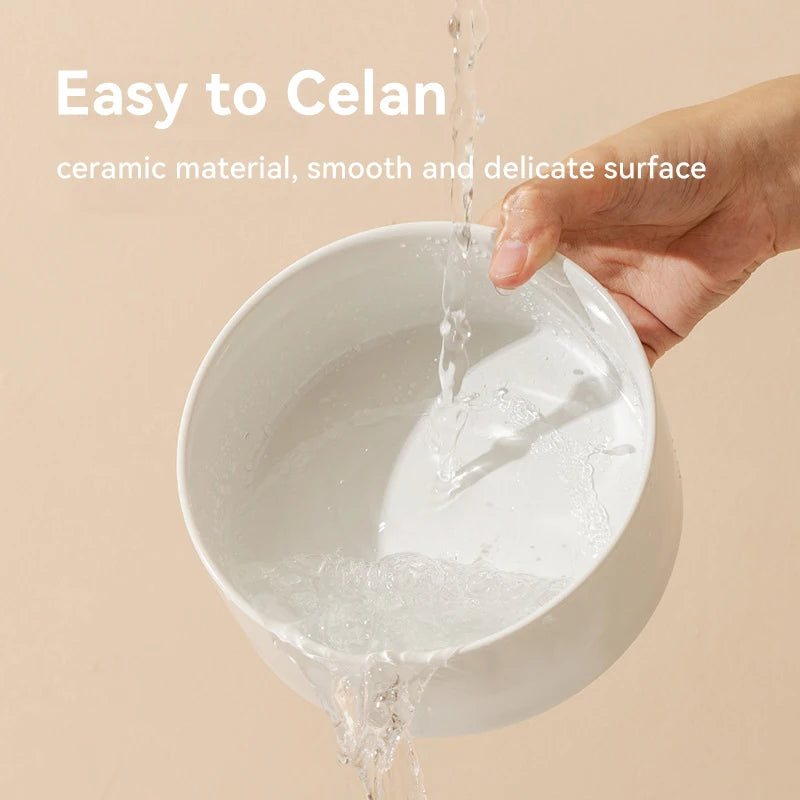 Cat Elevated Drinking Eating Bowl