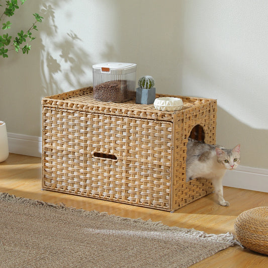 Cat Litter Box