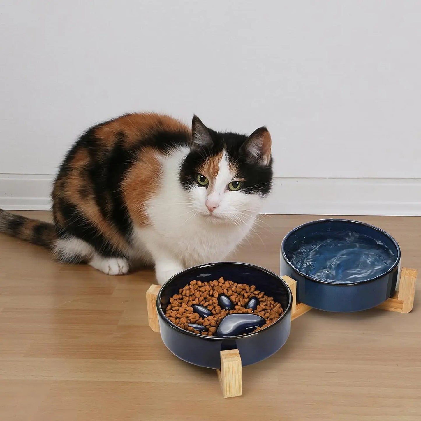 Pet Bowl Dish
